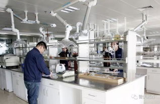 肥西縣高新技術(shù)企業(yè)認(rèn)定實(shí)現(xiàn)新突破，社會(huì)經(jīng)濟(jì)咨詢服務(wù)賦能產(chǎn)業(yè)升級(jí)